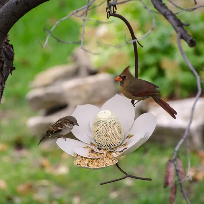 Птицы летом в лесу