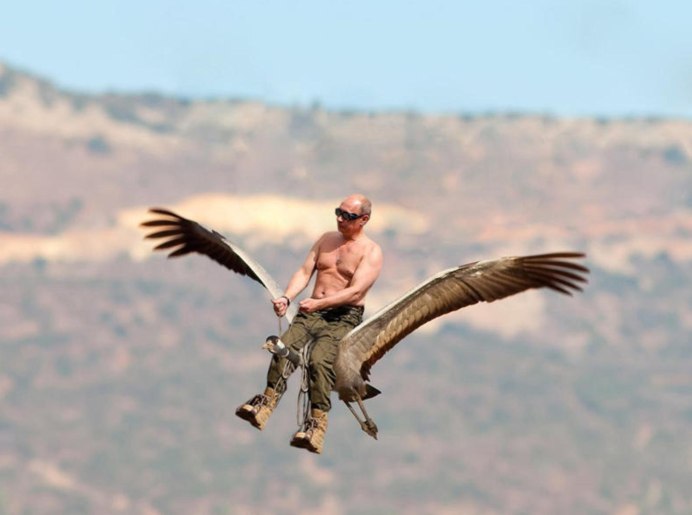 Полёт Путина со стерхами