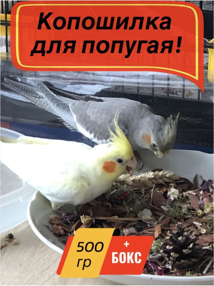 Копошилка для попугаев