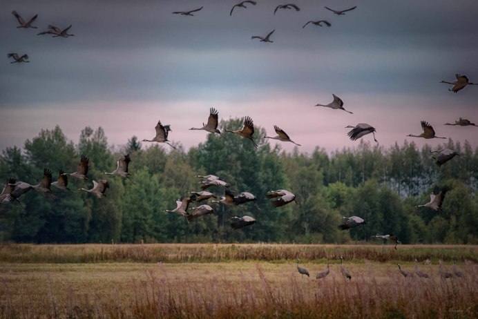 Беларусь природа