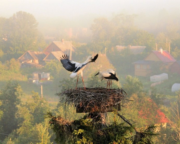 Победители фотоконкурса National Geographic