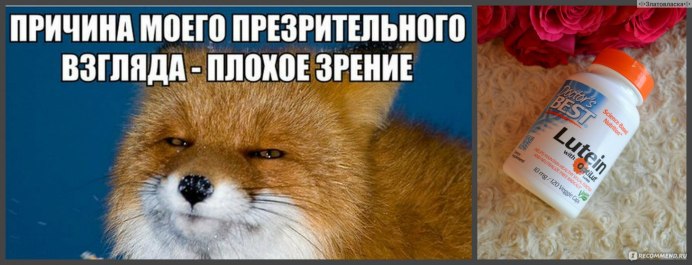 Мемы про Лис