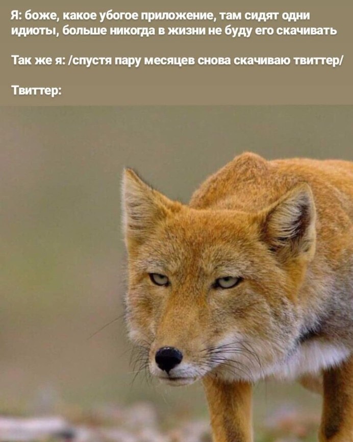 STEMI ЗСЛШ