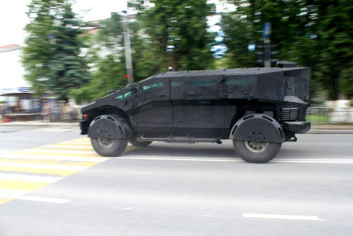 Африканский бронированный кузнечик