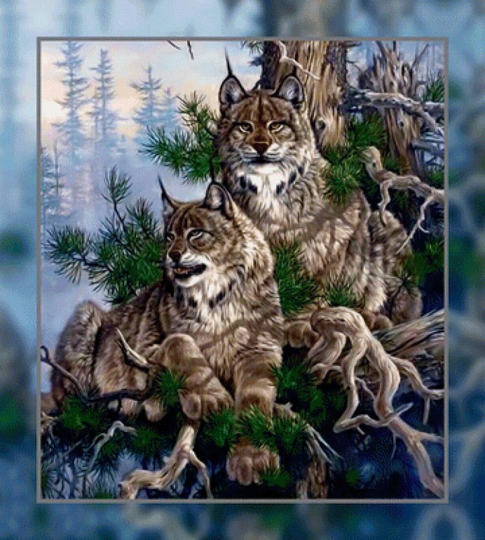 Lynx issiodorensis