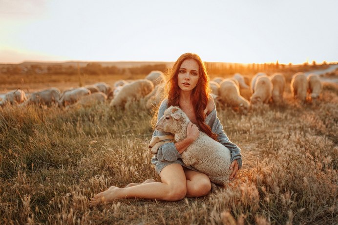 Овца блеет