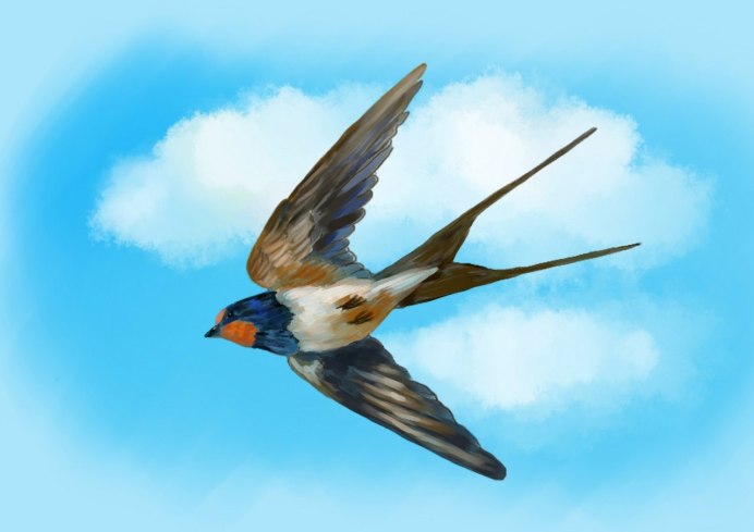 Ласточки летают