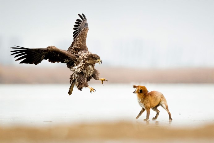 Лучшее фото