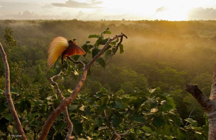 Аудун Рикардсен