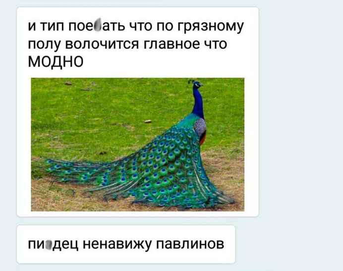Павлины летают