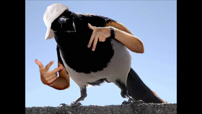 Страшная птица