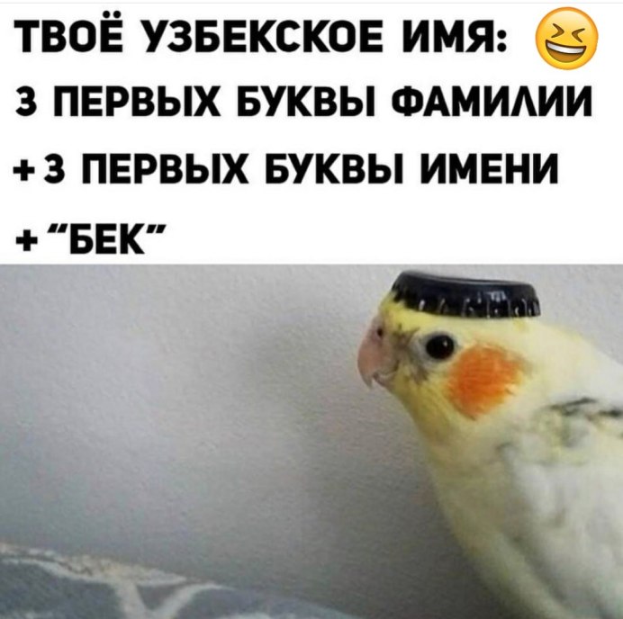 Попугай татарин