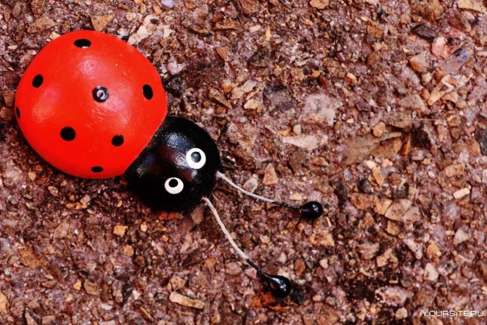 Насекомые осенью