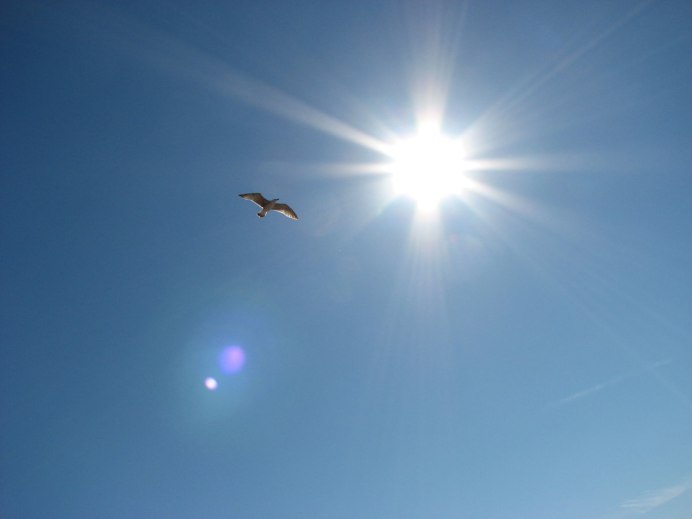 Солнце высоко в небе