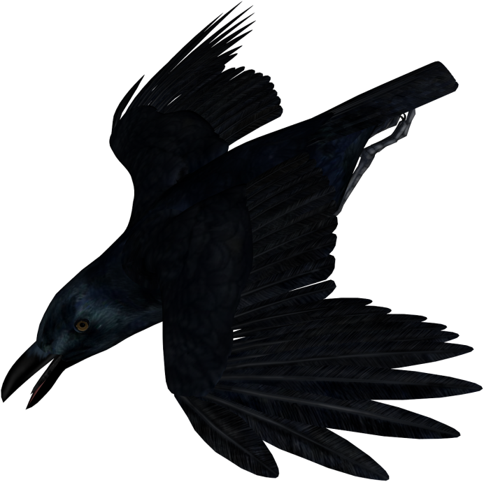 Две вороны на белом фоне