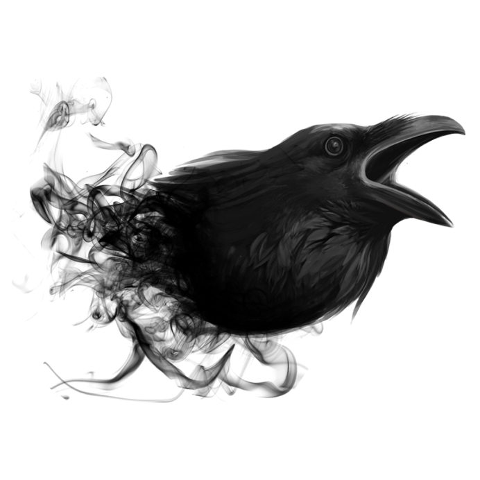 Летящий ворон на белом фоне