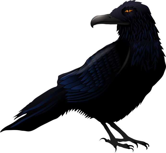 Голова ворона