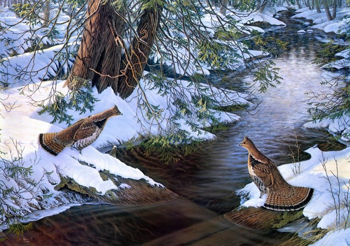 Зимородок ныряет в воду