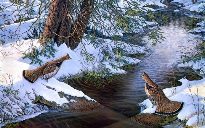 Птицы около воды