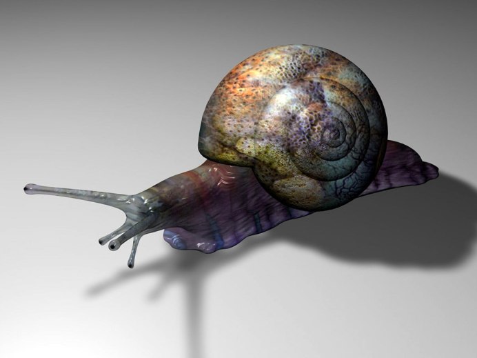 Clithon oualaniense