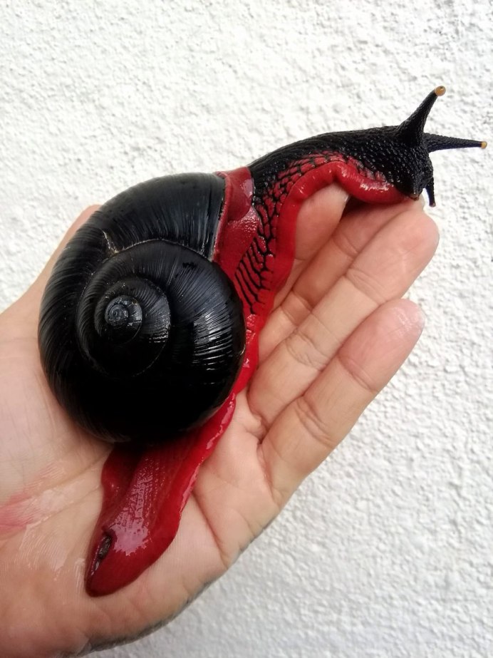 Улитка Crysomallon squamiferum
