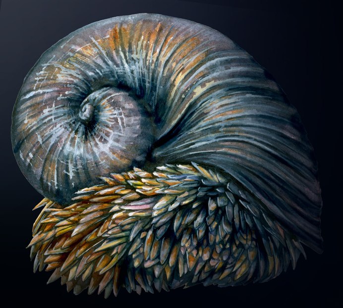 Chrysomallon squamiferum