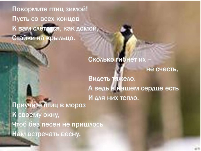 Синички летают зимой