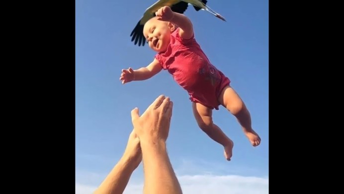 Аист Черногуз