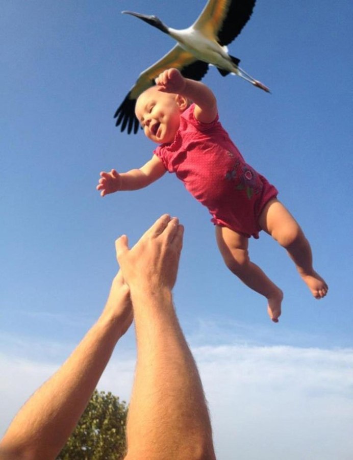 Аист несет ребенка