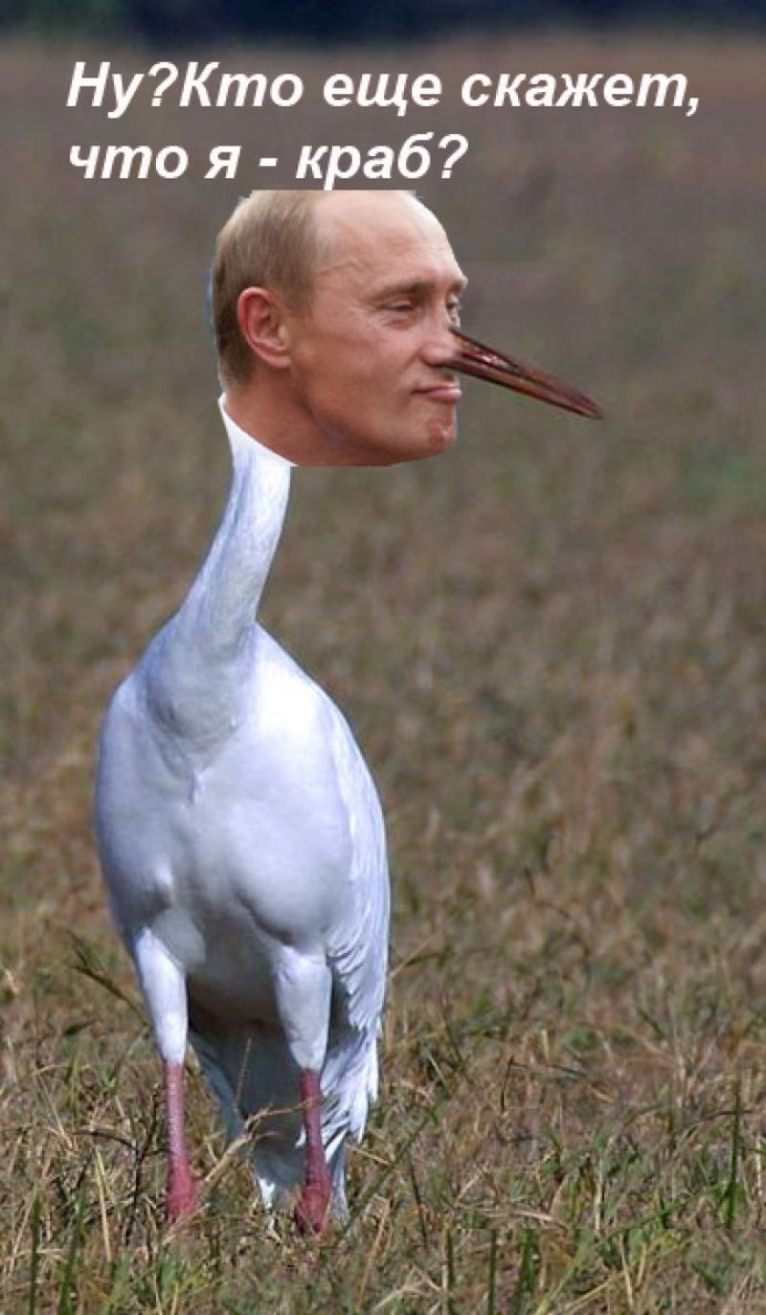 Смешной журавль