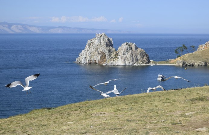 Балтийская Чайка Баклан