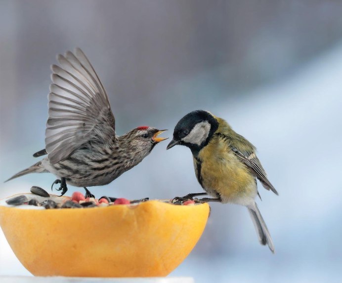 Евгения Левина фотограф