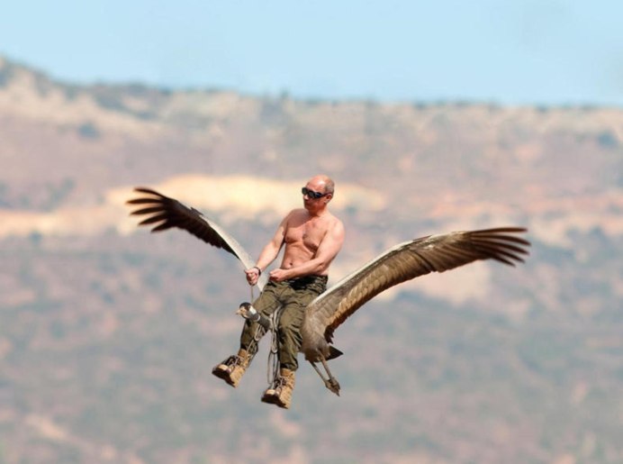 Полёт Путина со стерхами