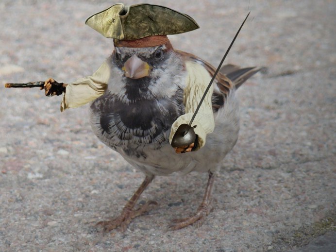 Боевой Воробей