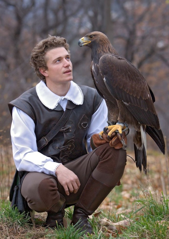 Swainson's Hawk