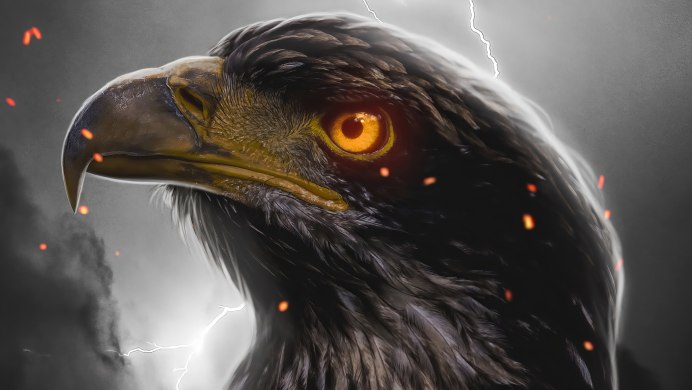 Eagle 4k