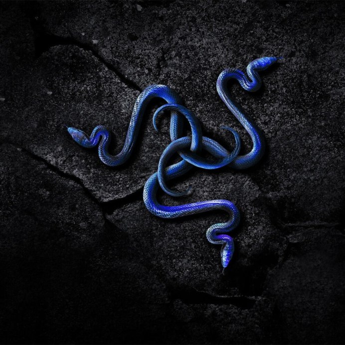 Razer Snake Snake
