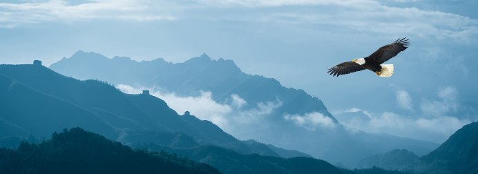 Орел в горах