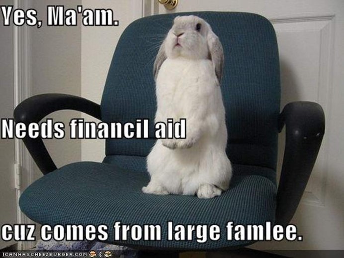 Джуди Хоппс Bunny