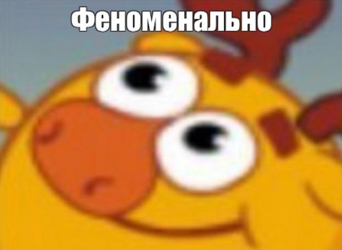 Жук скарабей навозный Жук