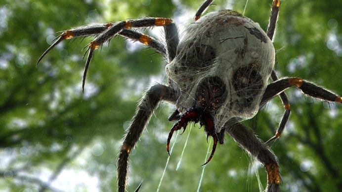 Cychrus caraboides жужелица-улиткоед