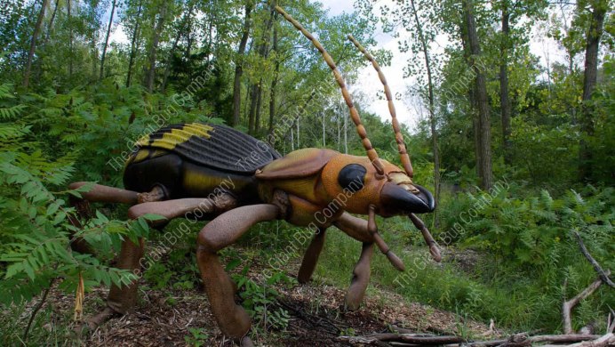 Cheiracanthium inclusum паук