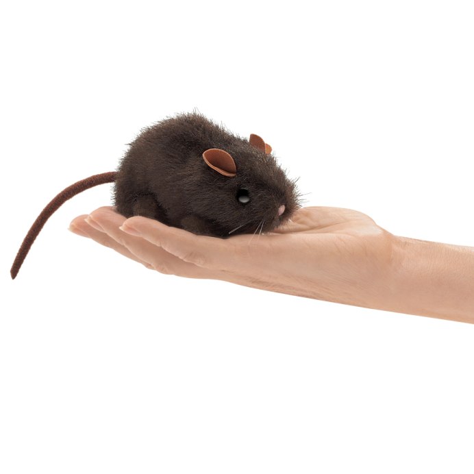 Rattus Rattus чёрная крыса