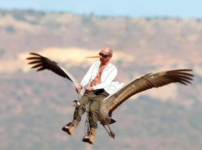 Полёт Путина со стерхами