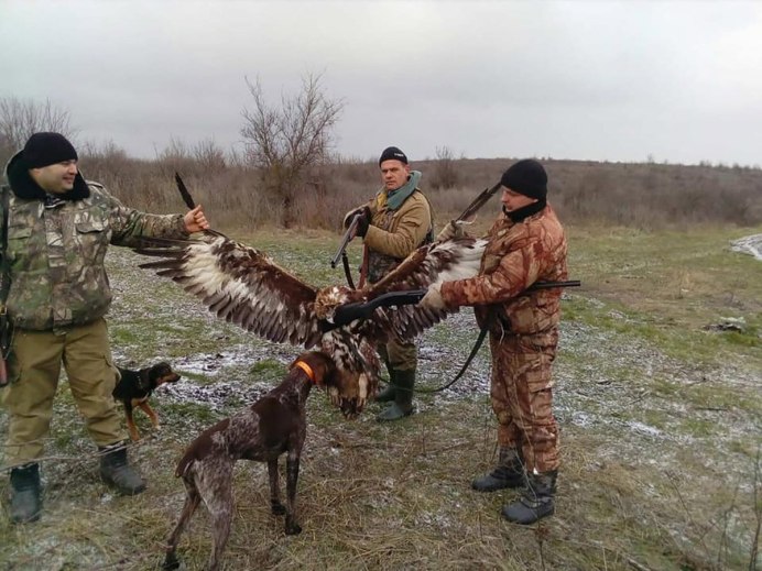 Браконьеры охотятся на птиц