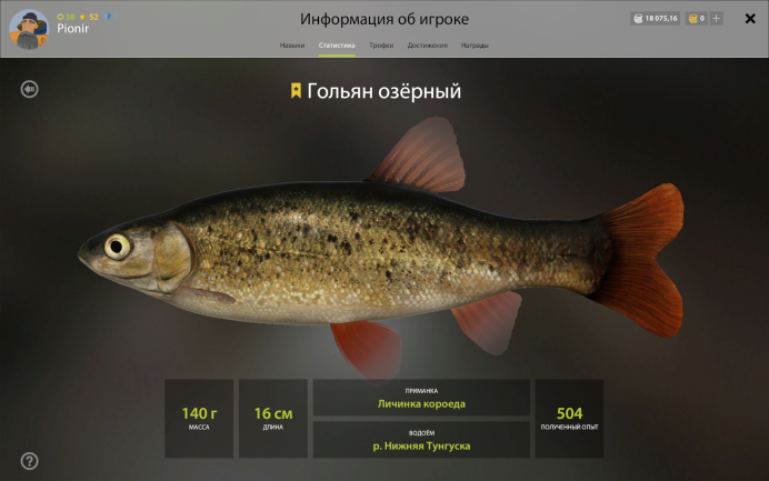 Сибирский пескарь
