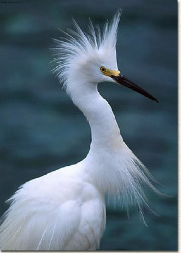 Rietvlei nature Reserve South Africa