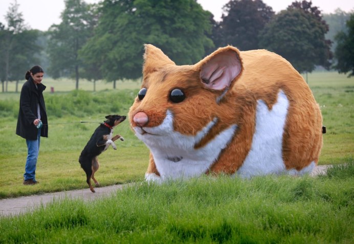 Большой хомяк
