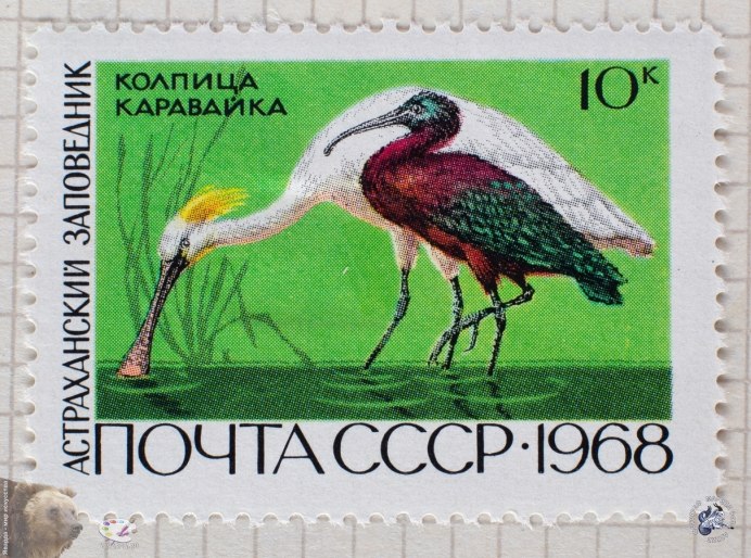 Каравайка группа