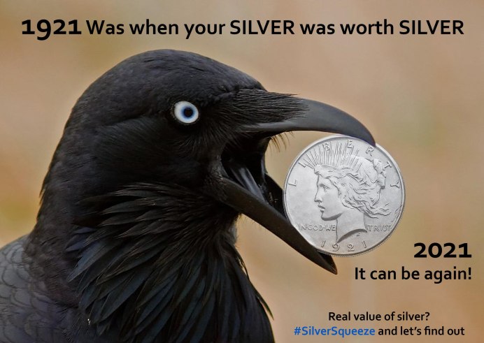 Ворон держит в клюве